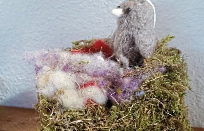 Dieses Gebilde sei beim Ausräumen des Nistkastens im Vaihinger Garten zum Vorschein gekommen, berichtet Familie Schneider. Es diene jetzt dem Filz-Spatz als Chill-Platz.