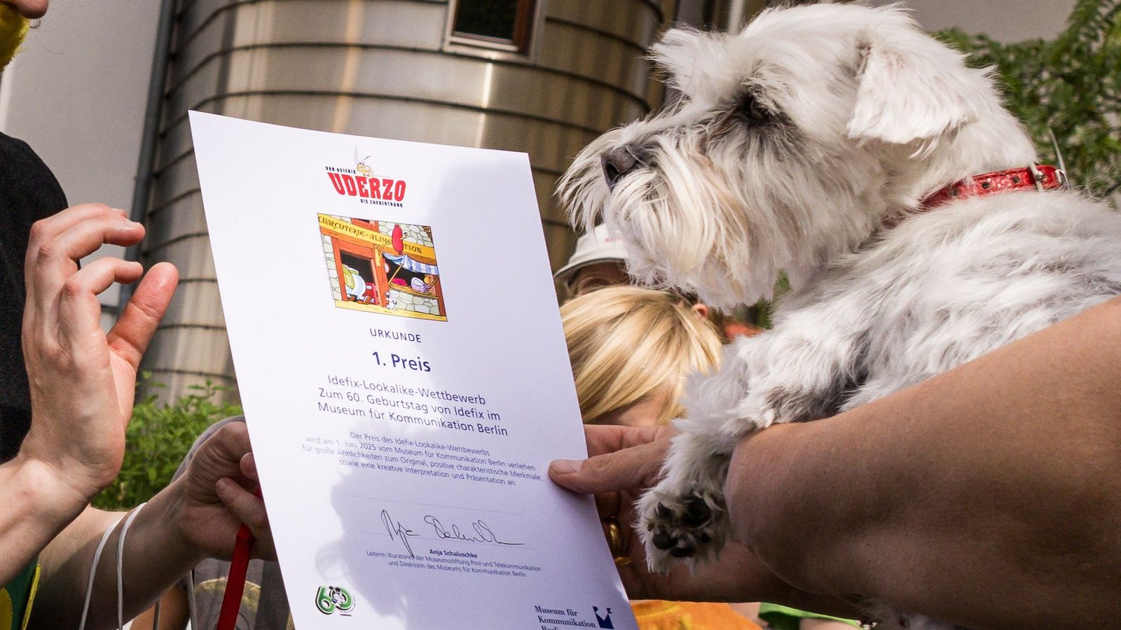 Der beste Idefix-Doppelgänger? Sieger-Hund Polly erhielt die Idefix-Lookalike-Contest-Urkunde. (Archivbild)Foto: Carsten Koall/dpa