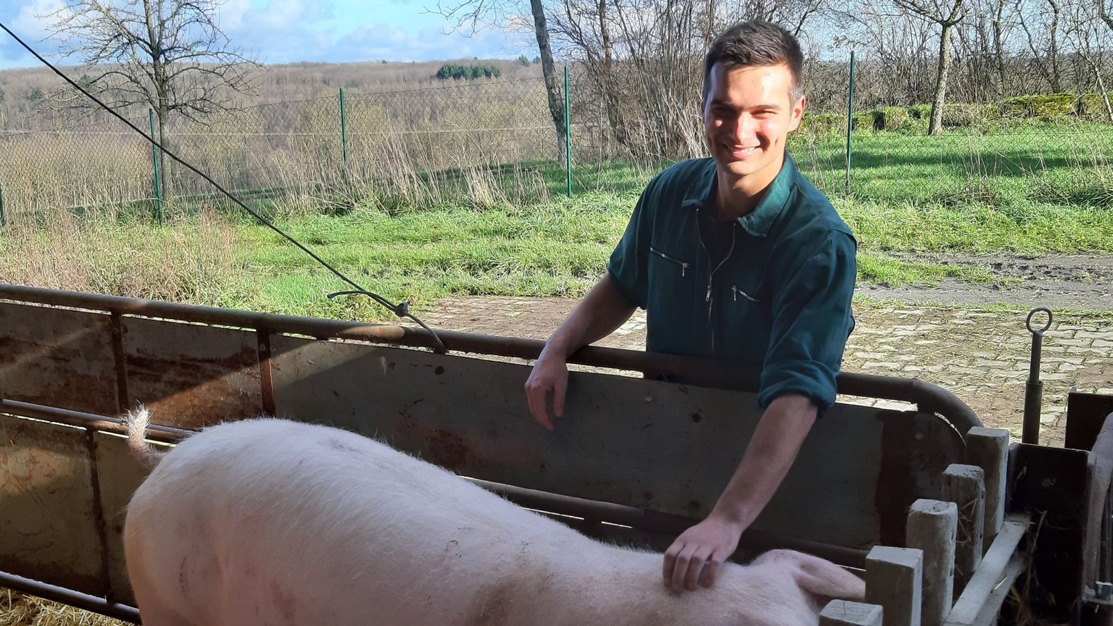 Johannes Steffl hat jede Menge Schweine. Aber das Glück ist nicht ungetrübt.Foto: Allgöwer Johannes Steffl hat jede Menge Schweine. Aber das Glück ist nicht ungetrübt.Foto: Allgöwer