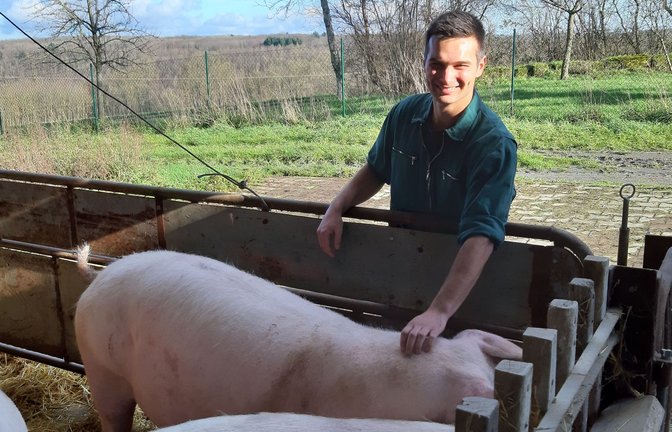 Johannes Steffl hat jede Menge Schweine. Aber das Glück ist nicht ungetrübt.<span class='image-autor'>Foto: Allgöwer</span>