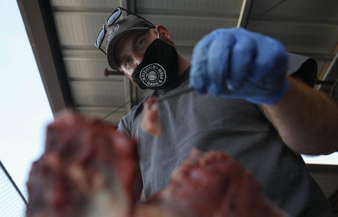Ein Seuchenbiologe des Arizona Game and Fish Department nimmt eine Probe von einem an CWD verendeten Hirsch.<span class='image-autor'>Foto: Imago/USA Today Network</span>