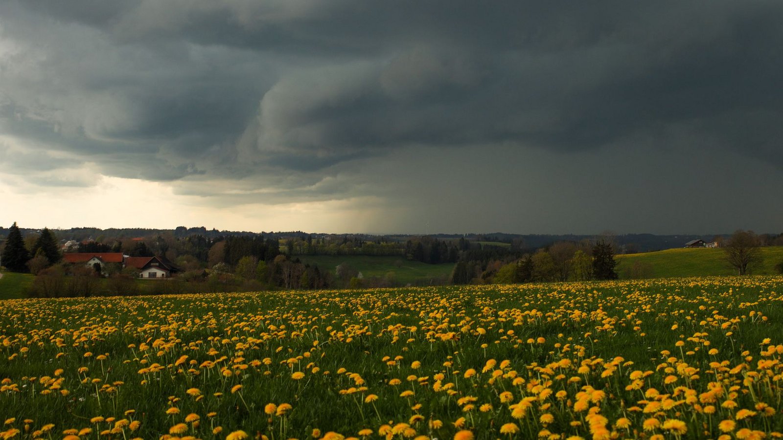 Dunkle Wolken und Gewitter wird es auch in den kommenden Tagen geben. (Archivbild)Foto: Alexander Wolf/onw-images/dpa
