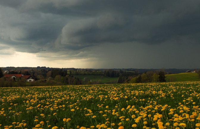 Dunkle Wolken und Gewitter wird es auch in den kommenden Tagen geben. (Archivbild)<span class='image-autor'>Foto: Alexander Wolf/onw-images/dpa</span>