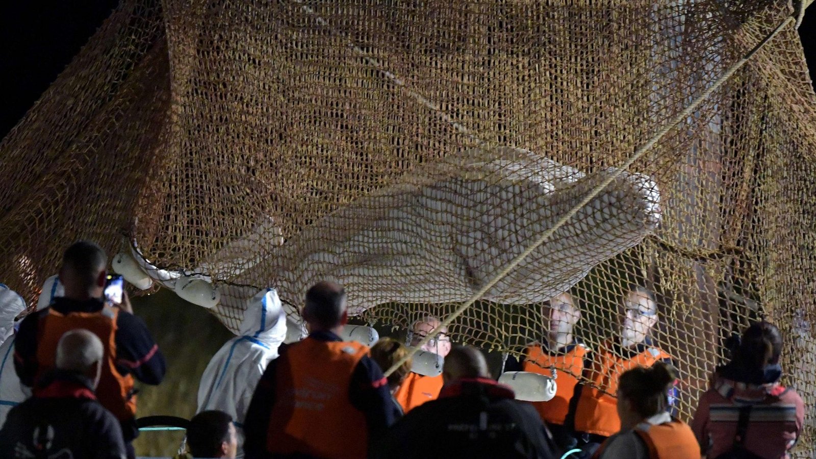Retter ziehen ein Netz auf, um einen in der Seine gestrandeten Belugawal bei Notre Dame de la-Garenne zu retten.Foto: Jean-Francois Monier/AFP/dpa