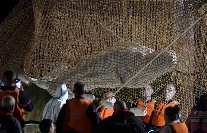 Retter ziehen ein Netz auf, um einen in der Seine gestrandeten Belugawal bei Notre Dame de la-Garenne zu retten.<span class='image-autor'>Foto: Jean-Francois Monier/AFP/dpa</span>