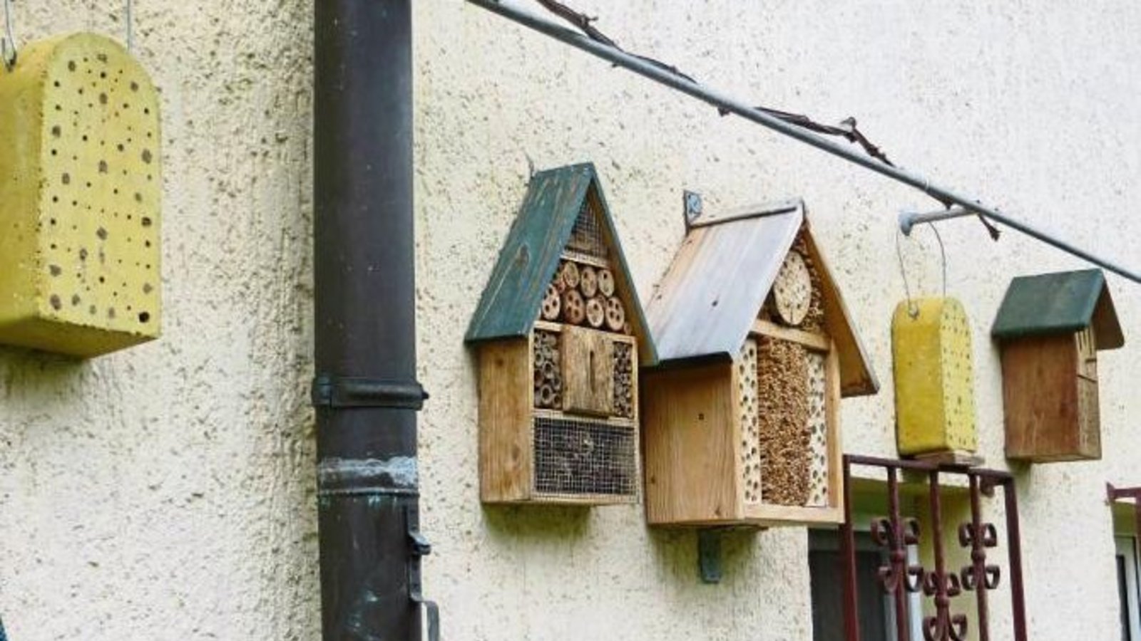 Eine ganze, gut besetzte, Wildbienenstadt gibt es bei „meiner verehrten Nachbarin Frau Schmidt“, schreibt uns Ingeborg Pauli aus Vaihingen zu ihrem Foto. Besonders beliebt seien die einfachen Steine. Eine ganze, gut besetzte, Wildbienenstadt gibt es bei „meiner verehrten Nachbarin Frau Schmidt“, schreibt uns Ingeborg Pauli aus Vaihingen zu ihrem Foto. Besonders beliebt seien die einfachen Steine.