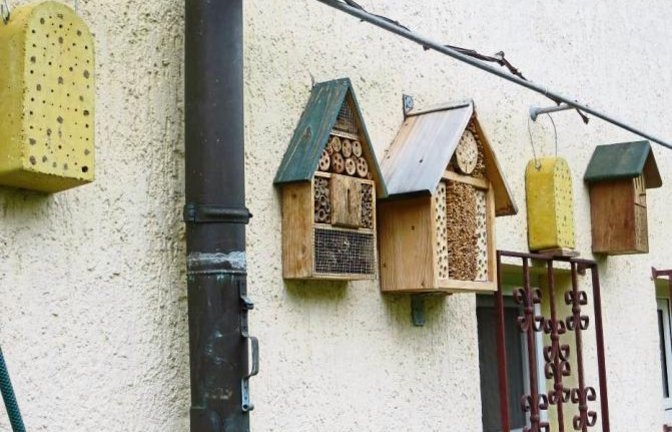 Eine ganze, gut besetzte, Wildbienenstadt gibt es bei „meiner verehrten Nachbarin Frau Schmidt“, schreibt uns Ingeborg Pauli aus Vaihingen zu ihrem Foto. Besonders beliebt seien die einfachen Steine.