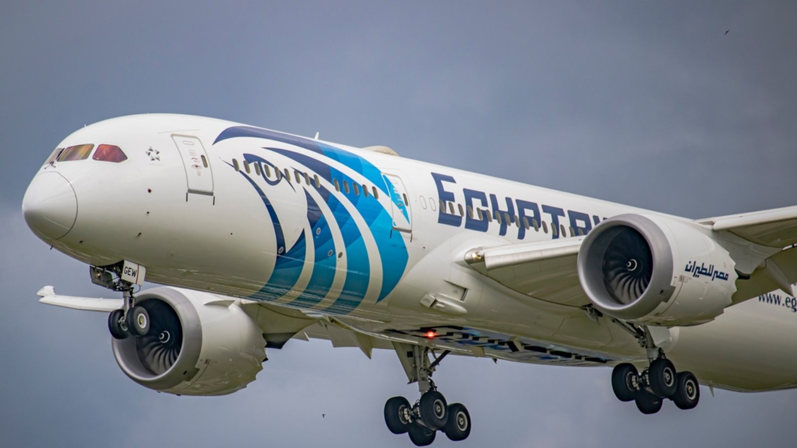 Ägypten bleibt ein beliebtes Reiseziel, doch die Sicherheitslage erfordert besondere Vorsicht. Warum das Auswärtige Amt eine Teilreisewarnung ausgerufen hat.Foto: Claudio Capelo / Shutterstock.com