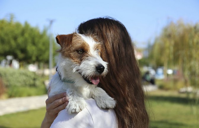 Die Kommunen in Baden-Württemberg erzielen Rekordeinnahmen mit der Hundesteuer (Symbolbild).<span class='image-autor'>Foto: IMAGO/Westend61/IMAGO/Evrymmnt</span>