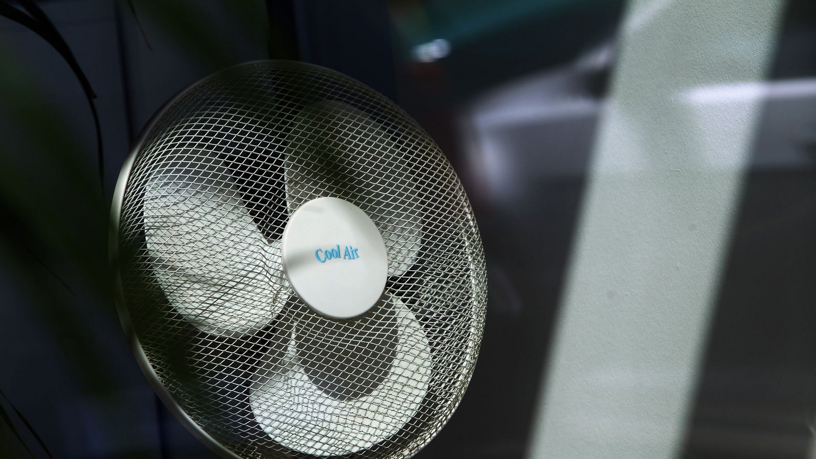 Irgendwann hilft auch ein Ventilator nicht mehr – sollten Arbeitnehmer bei sehr hohen Temperaturen arbeitsfrei bekommen? (Symbolbild)Foto: Karl-Josef Hildenbrand/dpa/dpa-t/Karl-Josef Hildenbrand Irgendwann hilft auch ein Ventilator nicht mehr – sollten Arbeitnehmer bei sehr hohen Temperaturen arbeitsfrei bekommen? (Symbolbild)Foto: Karl-Josef Hildenbrand/dpa/dpa-t/Karl-Josef Hildenbrand