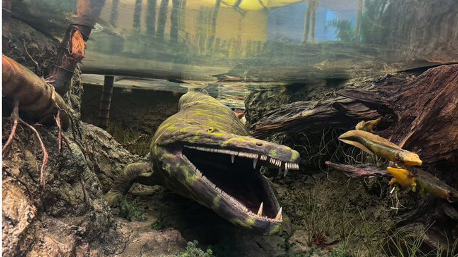 Rekonstruktion eines Panzerlurchs in seinem natürlichen Lebensraum in den Keupersümpfen der Trias im Stuttgarter Naturkundemuseum Museum am Löwentor.Foto: SMNS