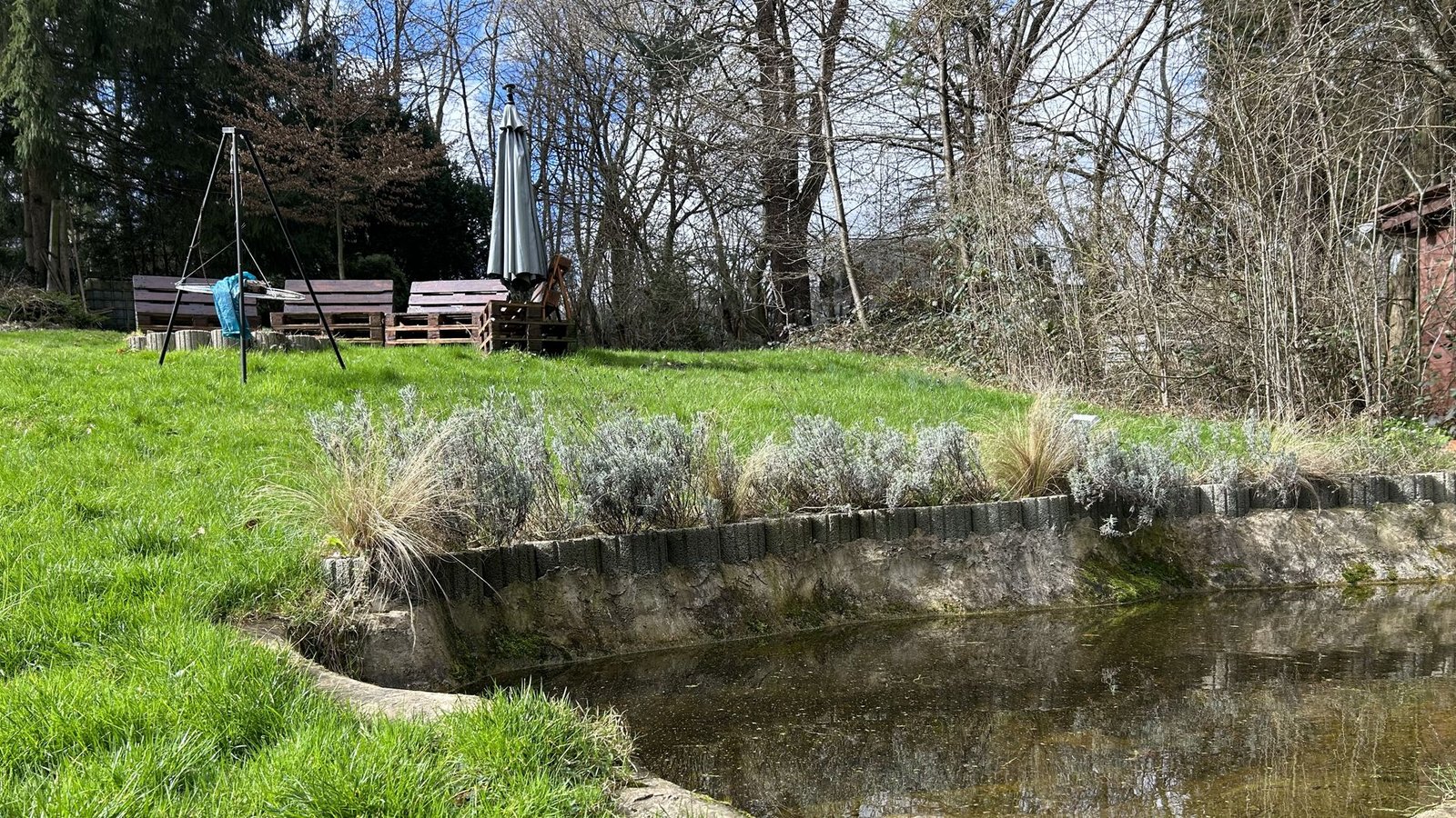 Auf einem 3.000 Quadratmeter großen Grundstück am Waldrand versorgt Völker auch Jungtiere, bis sie ausgewildert werden können.Foto: StZN/Hartmann