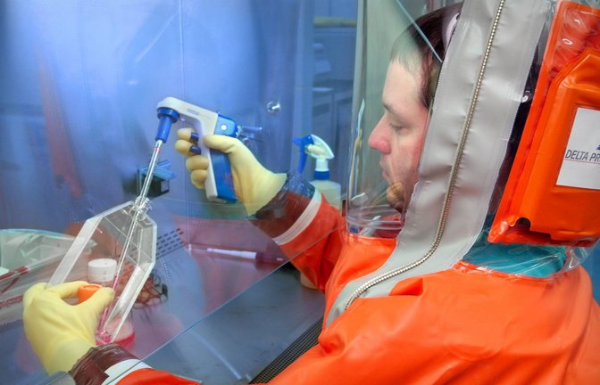 Hantavirus-Analyse im Labor – vor allem in Amerika gibt es gefährliche Varianten.<span class='image-autor'>Foto: IMAGO/BSIP</span>