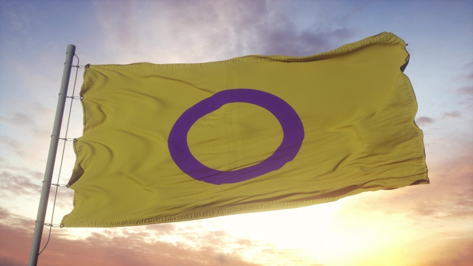 Intersex-Flagge: Die Intersex Pride Flagge hat einen gelben Hintergrund mit einem lila Kreis in der Mitte. Der violette Kreis symbolisiert Ganzheit und Vollständigkeit. Die Farben sind bewusst nicht als geschlechtsspezifische Farben wie Rosa oder Blau gewählt. Diese Flagge steht für die Sichtbarkeit und Akzeptanz von intersexuellen Menschen, die mit unterschiedlichen Geschlechtsmerkmalen geboren werden, die nicht den typischen Definitionen von männlich oder weiblich entsprechen. Sie steht für den Stolz auf die eigene intersexuelle Identität und die Anerkennung der Rechte intersexueller Menschen, insbesondere des Rechts auf körperliche und genitale Unversehrtheit.Foto: Larich/Shutterstock