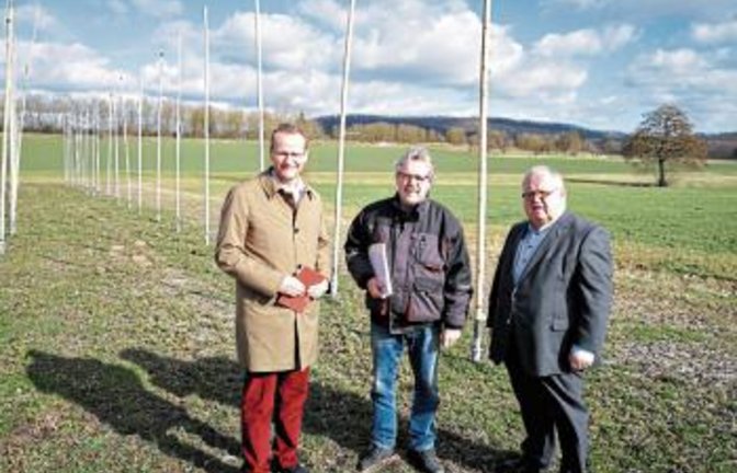 Begehung der Hopfenanlage.  Foto: p