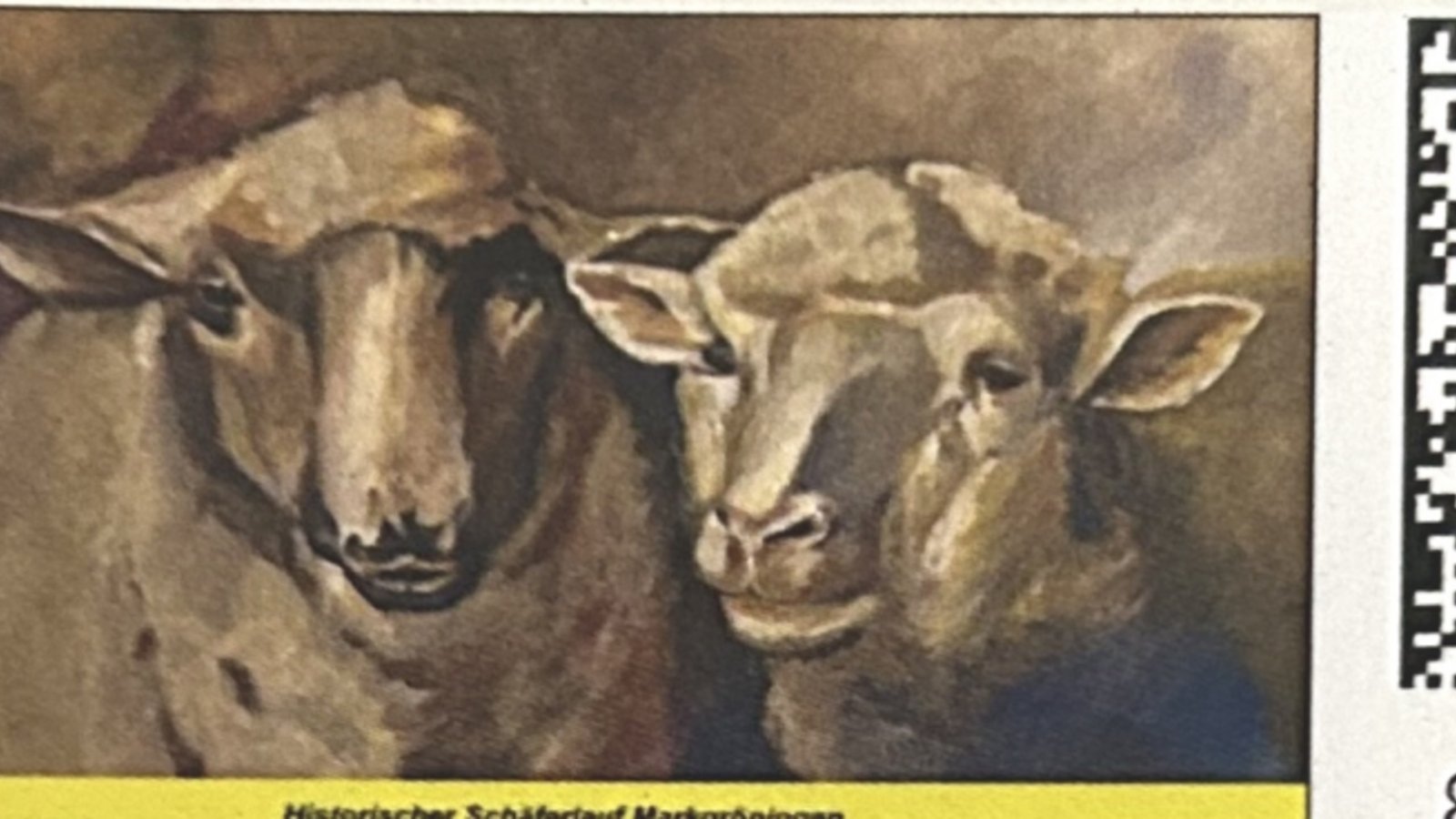 Die drei Sonderbriefmarken zum diesjährigen Schäferlauf. Foto: p Die drei Sonderbriefmarken zum diesjährigen Schäferlauf. Foto: p
