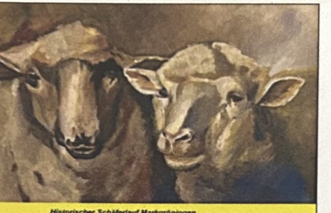 Die drei Sonderbriefmarken zum diesjährigen Schäferlauf.  <span class='image-autor'>Foto: p</span>