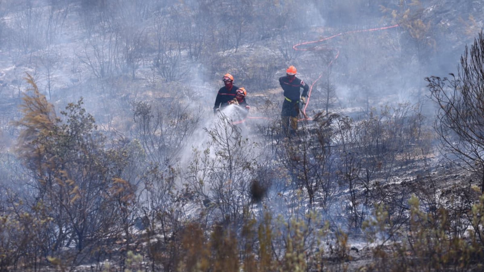 Cotignac: Feuerwehrleute bekämpfen einen Waldbrand, während sich die Dürrebedingungen infolge einer Hitzewelle und Wasserknappheit in weiten Teilen Frankreichs weiter verschärfen.Manon Cruz/Reuters Pool/AP/dpa Cotignac: Feuerwehrleute bekämpfen einen Waldbrand, während sich die Dürrebedingungen infolge einer Hitzewelle und Wasserknappheit in weiten Teilen Frankreichs weiter verschärfen.Manon Cruz/Reuters Pool/AP/dpa