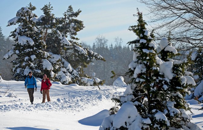 Die Schwäbische Alb hat diesen Winter schon Schnee abbekommen. Bis zu 20 Zentimeter waren es zeitweise. (Archivbild)<span class='image-autor'>Foto: Albstadt Tourismus/Volker Bitzer</span>