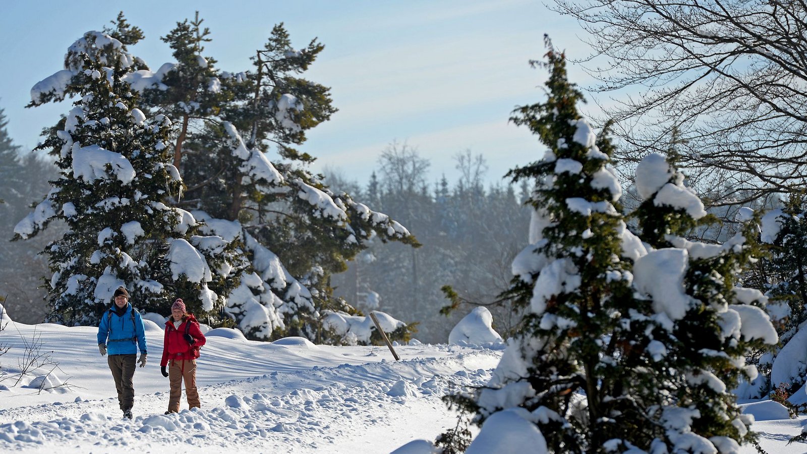 Die Schwäbische Alb hat diesen Winter schon Schnee abbekommen. Bis zu 20 Zentimeter waren es zeitweise. (Archivbild)Foto: Albstadt Tourismus/Volker Bitzer Die Schwäbische Alb hat diesen Winter schon Schnee abbekommen. Bis zu 20 Zentimeter waren es zeitweise. (Archivbild)Foto: Albstadt Tourismus/Volker Bitzer