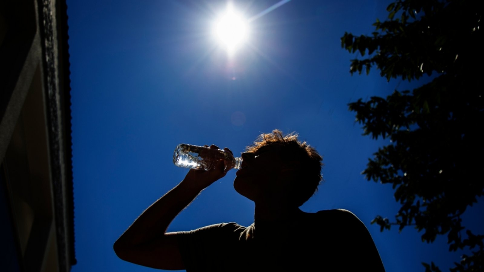 Die Hitze ist extrem.Foto: Selena3726 / shutterstock.com Die Hitze ist extrem.Foto: Selena3726 / shutterstock.com