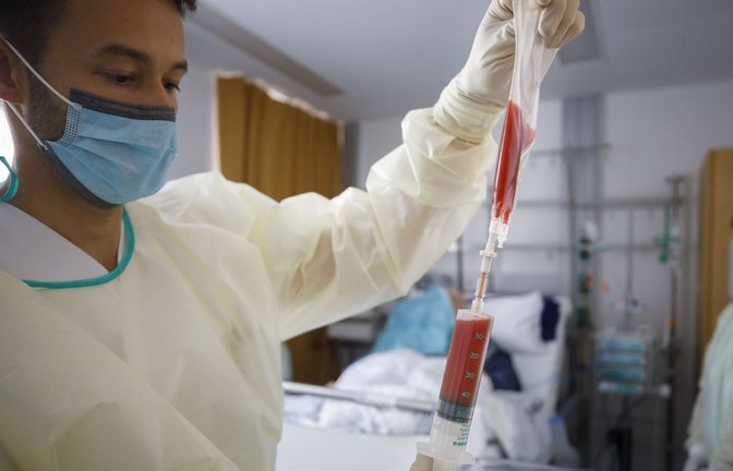 Die Stammzellen eines Spenders werden für die Transplantation vorbereitet.<span class='image-autor'>Foto: © C) Gottfried Stoppel</span>
