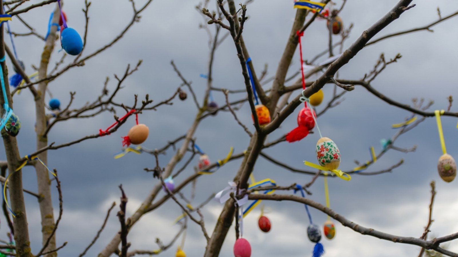 Zeigt sich die Sonne an Ostern?Foto: tanitost / shutterstock.com Zeigt sich die Sonne an Ostern?Foto: tanitost / shutterstock.com