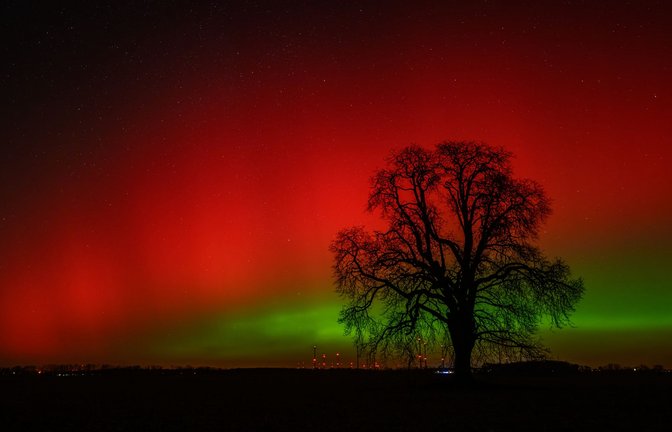 Polarlichter leuchten am Nachthimmel über der Landschaft im östlichen Brandenburg. Dieses Nordlicht (Aurora borealis) wurde durch eine Wolke elektrisch geladener Teilchen eines Sonnensturms in der Erdatmosphäre erzeugt.<span class='image-autor'>Foto: Patrick Pleul/dpa</span>