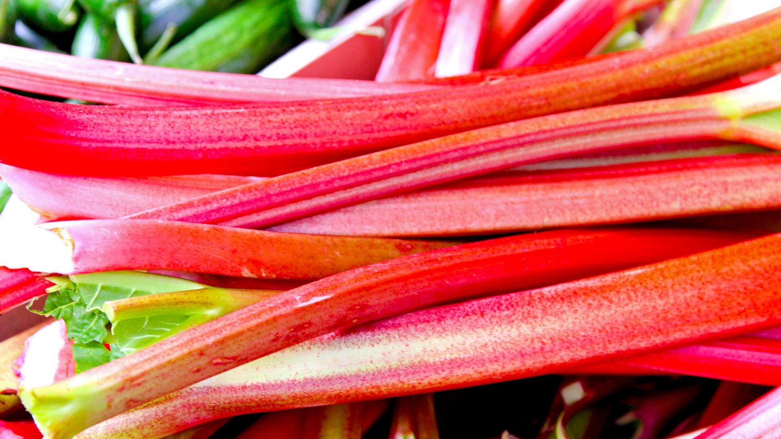 Nicht nur lecker, sondern auch gesund: Im Rhabarber steckt zum Beispiel viel Vitamin C.Foto: IMAGO/Panthermedia/Baloncici via imago-images.de Nicht nur lecker, sondern auch gesund: Im Rhabarber steckt zum Beispiel viel Vitamin C.Foto: IMAGO/Panthermedia/Baloncici via imago-images.de