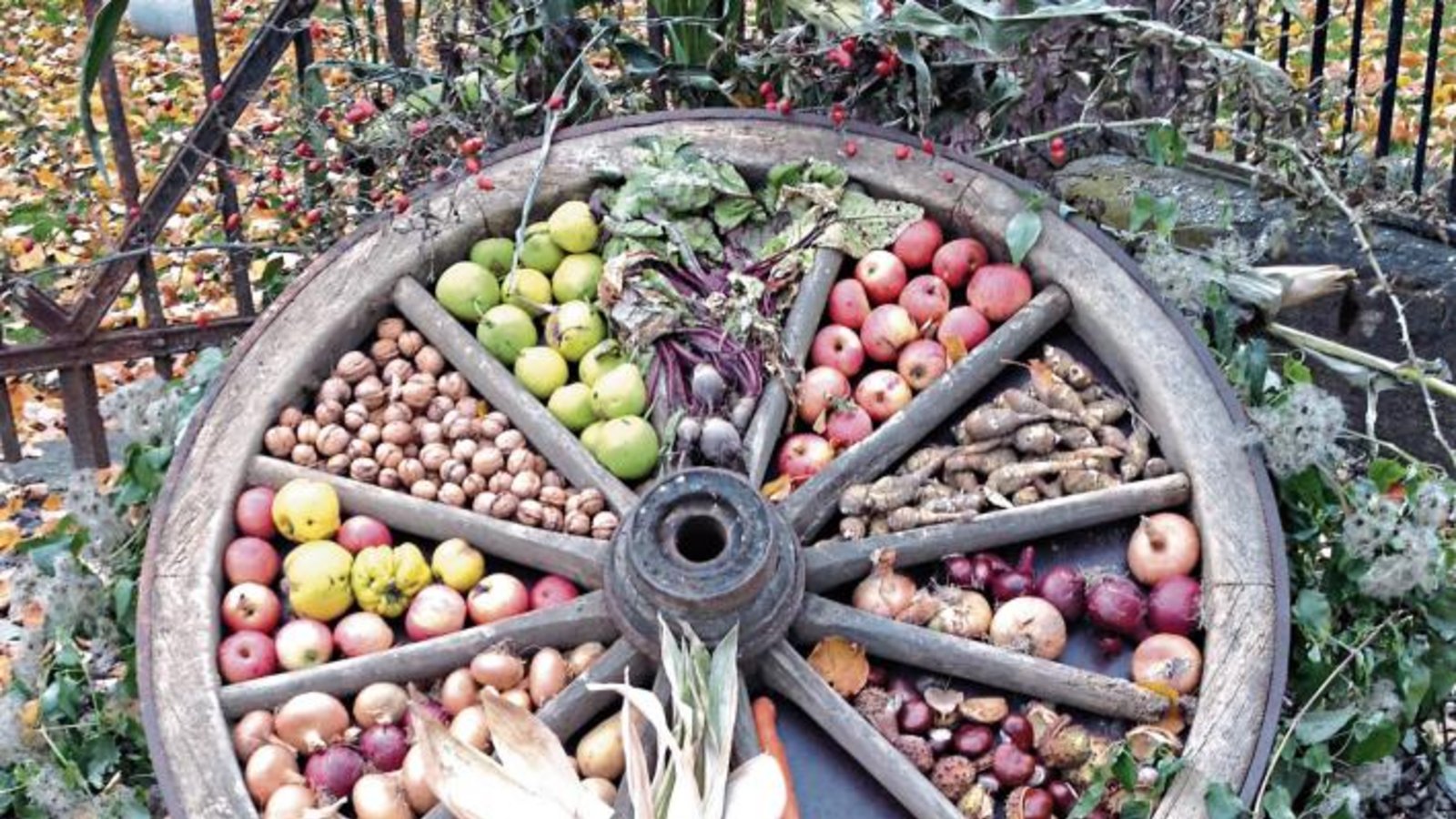 Ein gesunder Herbstgruß aus Pulverdingen. Foto: Müller