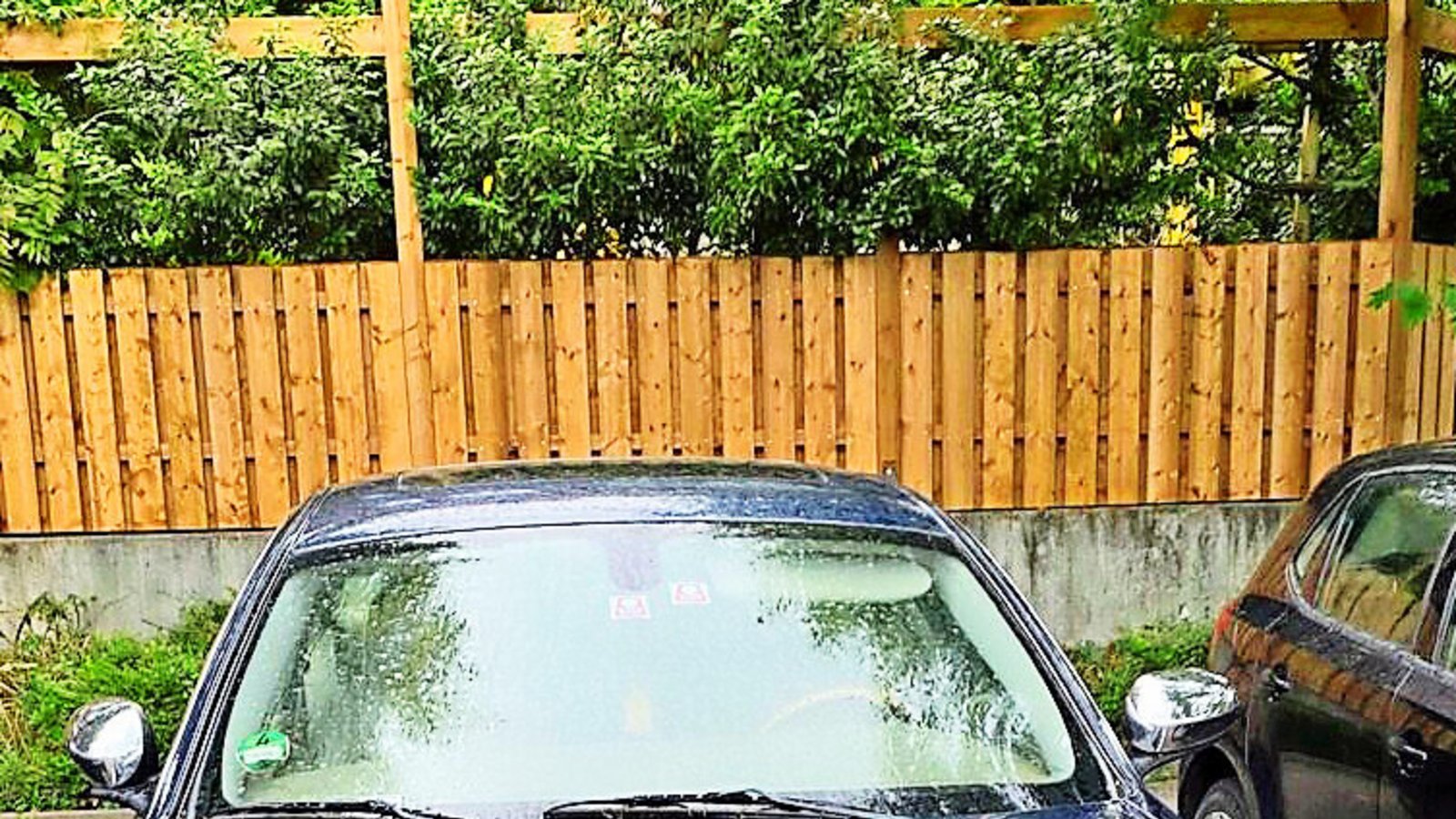 Der Jaguar stört die Anwohnenden – er belegt einen Parkplatz.Foto: privat Der Jaguar stört die Anwohnenden – er belegt einen Parkplatz.Foto: privat