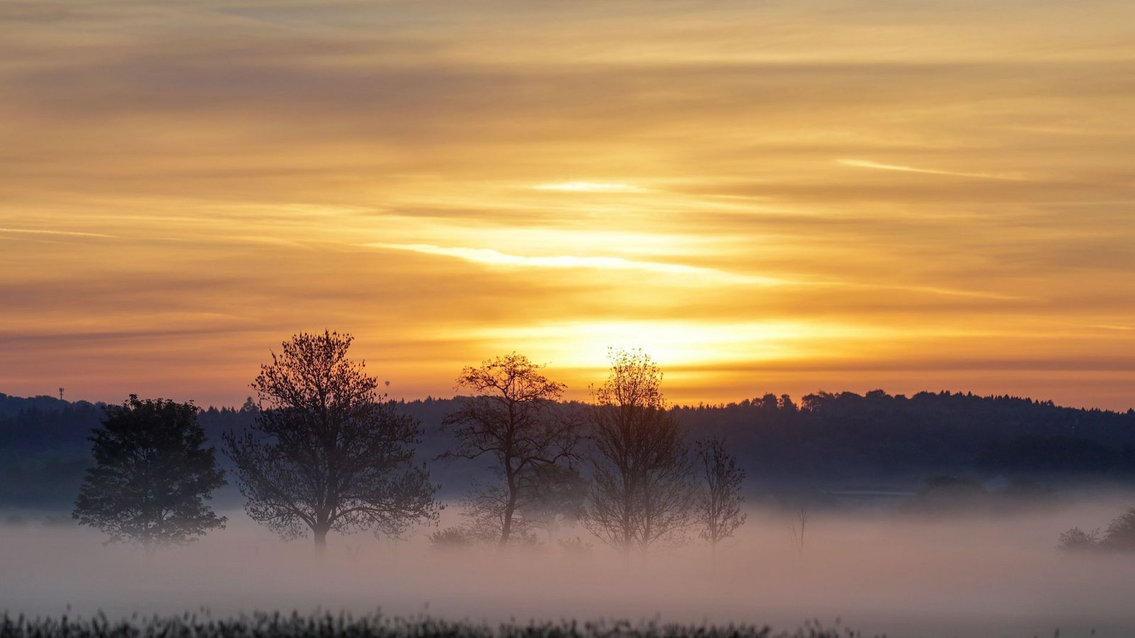 Der Sonntag startet noch sonnig, doch dann ziehen Gewitter auf.Foto: Thomas Warnack/dpa/Thomas Warnack
