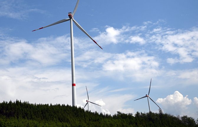 Dem Wald kommt eine wichtige Funktion beim Erreichen der Klimaziele zu.<span class='image-autor'>Foto: Federico Gambarini/dpa/Federico Gambarini</span>
