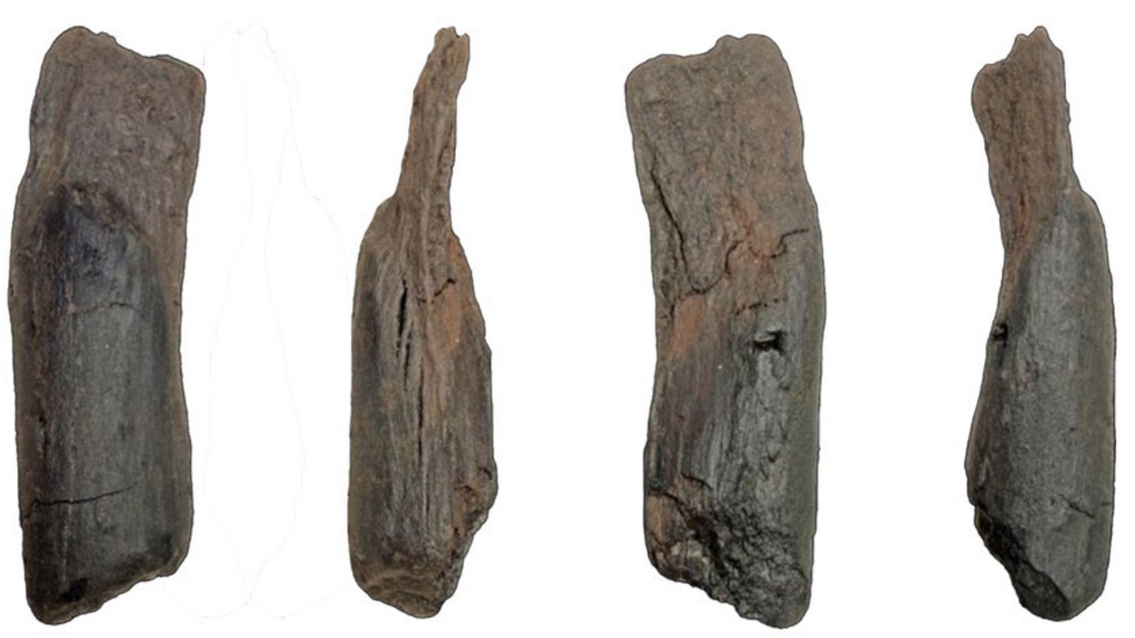 Verschiedene Ansichten des kleinen Holzwerkzeugs aus Weidenholz.Foto: © Mieks et al/ PNAS/ CC-by-nc-nd 4.0