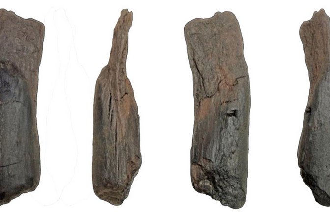 Verschiedene Ansichten des kleinen Holzwerkzeugs aus Weidenholz.<span class='image-autor'>Foto: © Mieks et al/ PNAS/ CC-by-nc-nd 4.0</span>