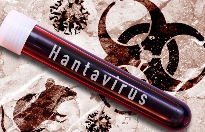 Hantavirus-Untersuchung im Labor (Montage/Symbolbild).<span class='image-autor'>Foto: IMAGO/Christian Ohde</span>