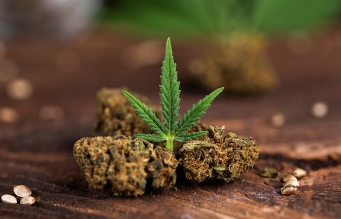 Das Thema "Cannabis" könnte zum Streitthema unter den Parteien werden.<span class='image-autor'>Foto: Sebastian Duda / shutterstock.com</span>