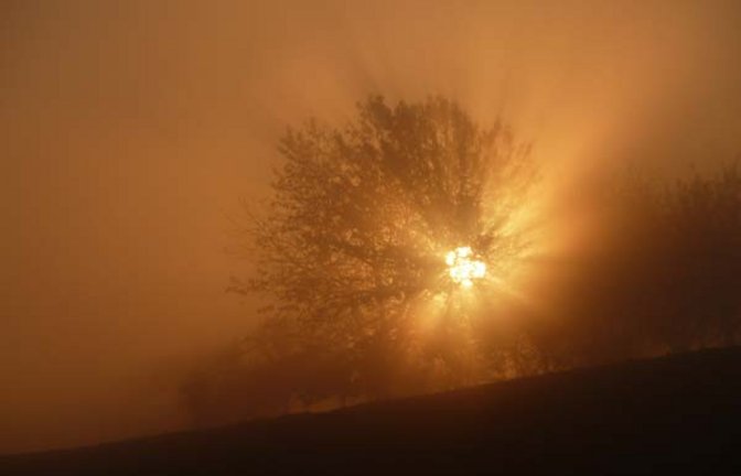 Strom aus der Sonnenkraft. Foto: Rücker