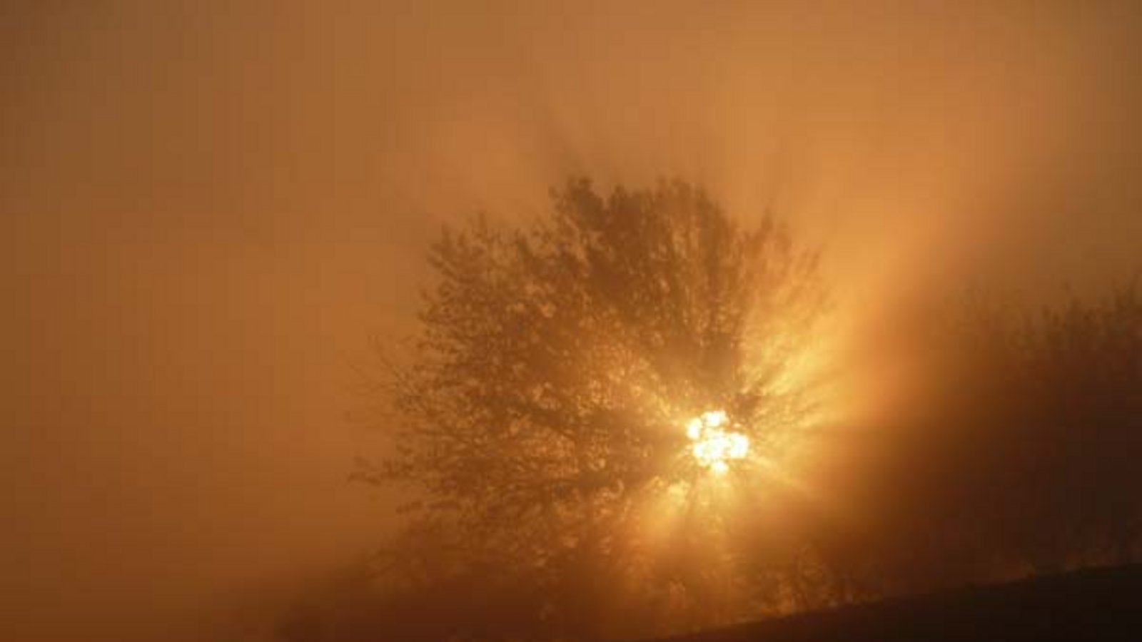 Strom aus der Sonnenkraft. Foto: Rücker Strom aus der Sonnenkraft. Foto: Rücker