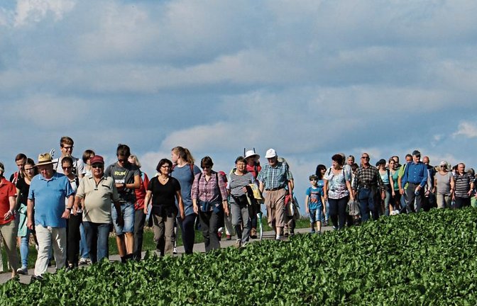 Kurz nach dem Start geht es auf dem Weitfeld in Vaihingen in die Weite der Landschaft hinein und an Rübenfeldern vorbei in Richtung Kleinglattbach.  Fotos: Rücker