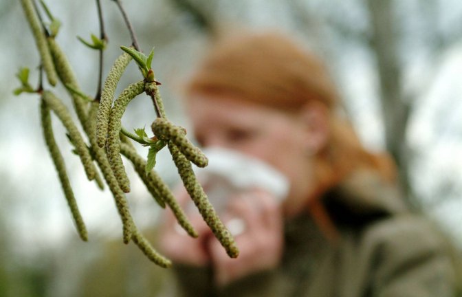 Juckende Augen, tropfende Nase –  die Pollenbelastung ist im Westen Deutschlands in diesen Tagen besonders hoch (Symbolbild).<span class='image-autor'>Foto: imago/Becker&Bredel/bub</span>