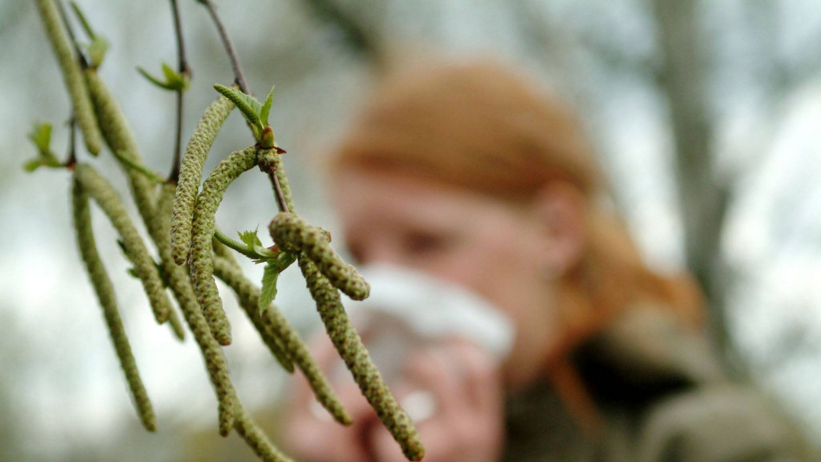 Juckende Augen, tropfende Nase –  die Pollenbelastung ist im Westen Deutschlands in diesen Tagen besonders hoch (Symbolbild).Foto: imago/Becker&Bredel/bub
