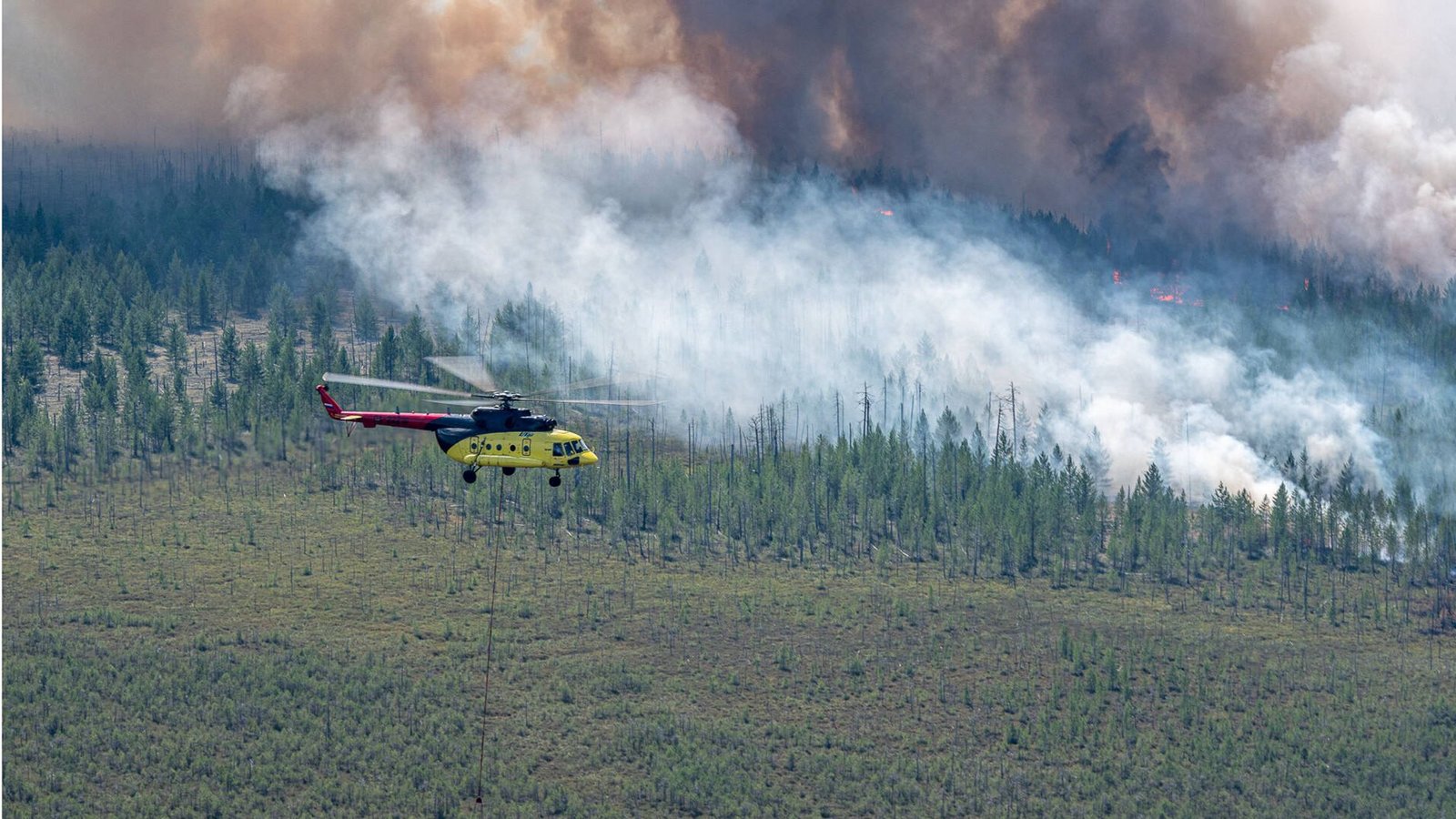 Die Brände am Polarkreis wie hier in der sibirischen Taiga haben deutliche Auswirkungen auf den Klimawandel, da sie große Mengen Treibhausgase freisetzen und Wälder vernichten.Foto: Imago/Itar-Tass