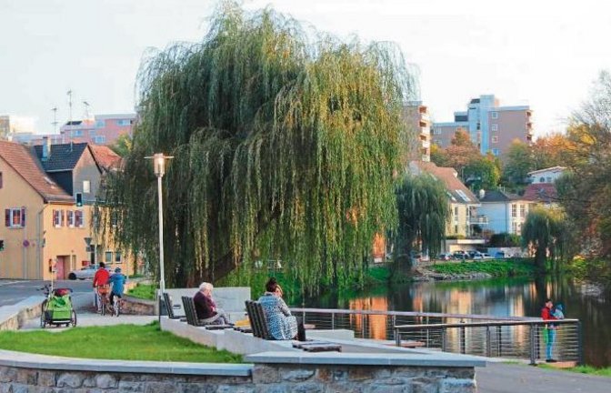 Nach dem Winter-Vorgeschmack der vergangenen Tage, war der sonnige Herbsttag gestern ein unwiderstehlicher Lockruf ins Freie – hier am Vaihinger Enzufer. Foto: Rieger