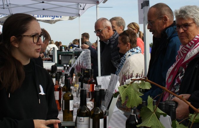 Den Wein dort genießen, wo er entsteht: Das ist die Idee hinter der Lembergerland Genussmeile, auf der Roßwager Winzer ihre Erzeugnisse direkt im Weinberg ausschenken. <span class='image-autor'>Fotos: Mross</span>