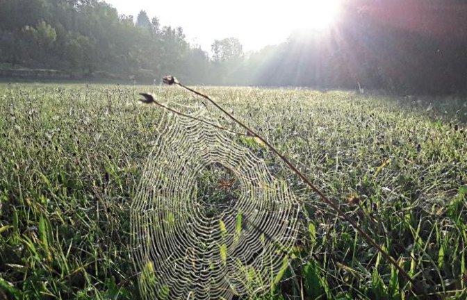 Die Tag- und Nachtgleiche ist vorüber, die Nächte werden länger. Vielleicht besteht aber die Chance auf einen schönen Altweibersommer.  Foto: Rücker