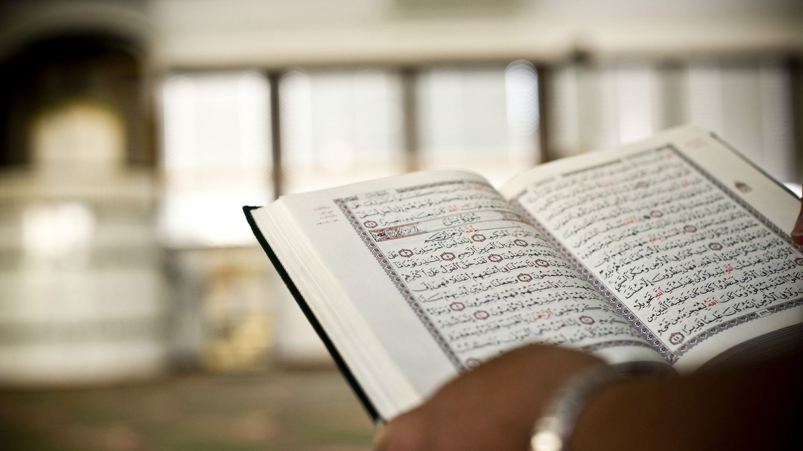 Person bei der Lektüre des Korans (Symbolbild)Foto: ppfotodesign/Max Kovalenko