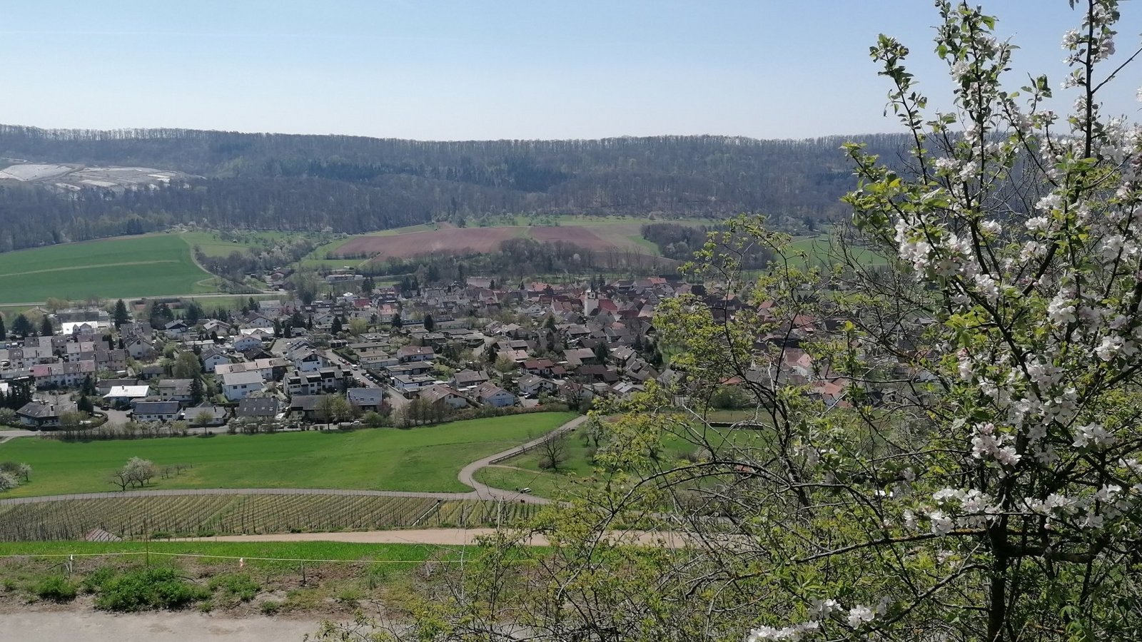 Blick auf Gündelbach vom Wachtkopf aus: Im September geht es beim Märchenspaziergang „Starke Frauen, schöne Wege“ durch die Natur. Foto: Banholzer Blick auf Gündelbach vom Wachtkopf aus: Im September geht es beim Märchenspaziergang „Starke Frauen, schöne Wege“ durch die Natur. Foto: Banholzer