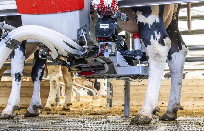 Was obsiegt – Kuhverstand oder Maschine? Melkroboter „Lely Astronaut“ bei der Arbeit.<span class='image-autor'>imago/Arnulf Hettrich</span>