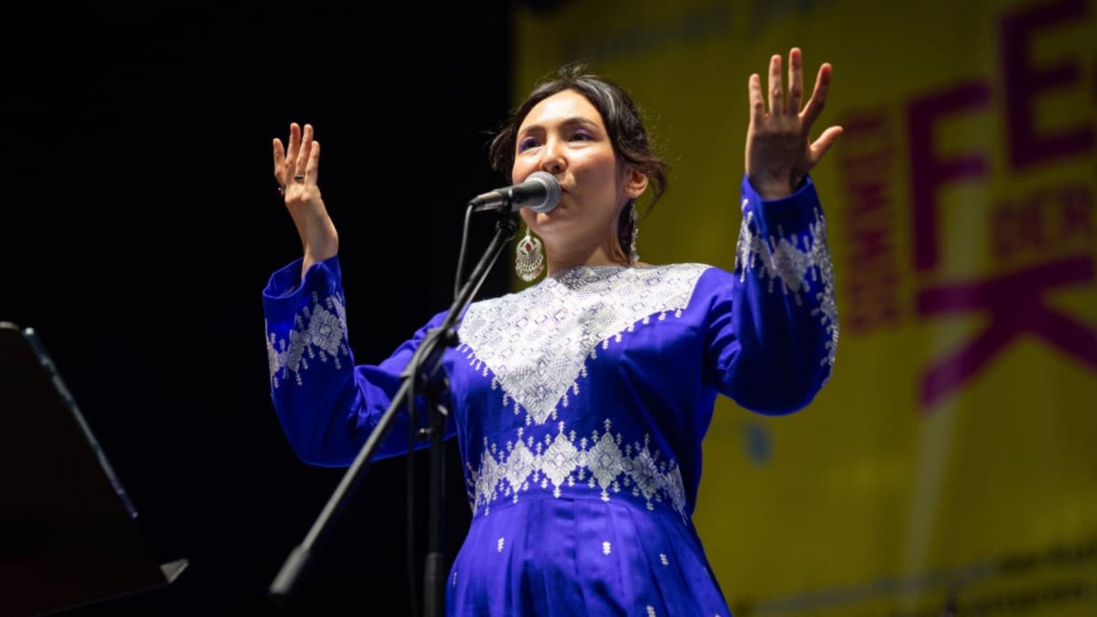 Elaha Soroor beim Auftritt im Rahmen des Sommerfestivals der Kulturen in StuttgartLichtgut/Julian Rettig Elaha Soroor beim Auftritt im Rahmen des Sommerfestivals der Kulturen in StuttgartLichtgut/Julian Rettig